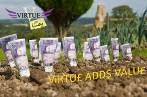 Virtue - Accounting Value